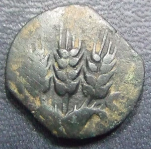 HEROD AGRIPPA I. PRUTAH 37-44 CE. LAST ROYAL RULER BY TITLE OVER JUDEA (9) - Picture 1 of 2