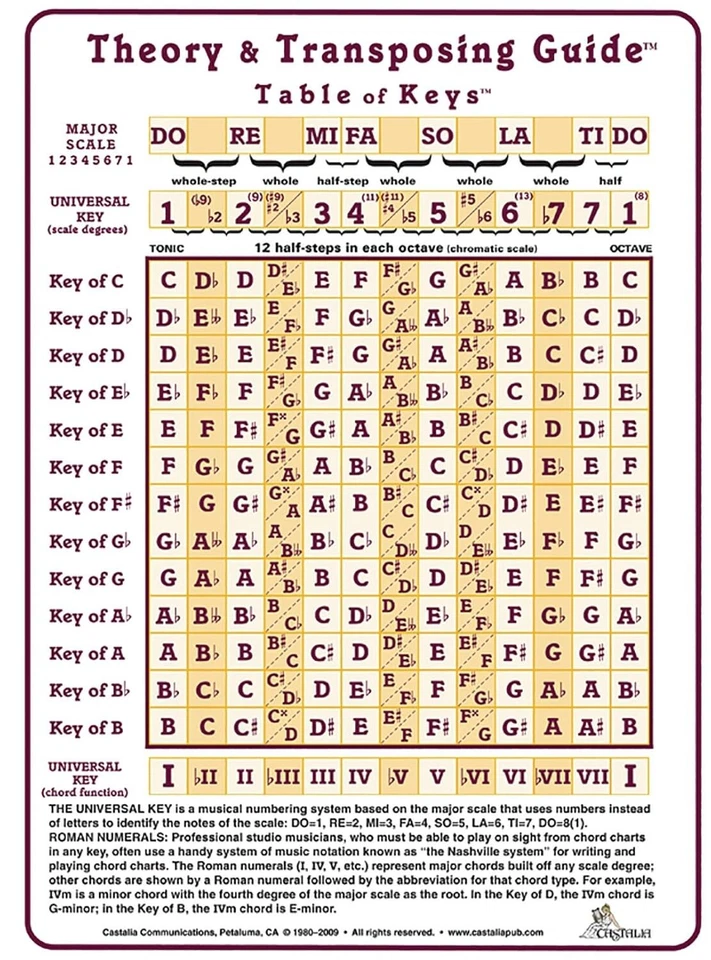 Theory and Transposing Guide: Laminated Cards By Alfred Music FREE SHIPPING - Image 1 of 1