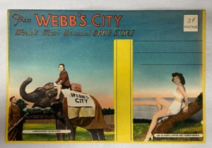 Tarjeta postal desplegable grande vintage Webb's City farmacia San Petersburgo Florida - Imagen 1 de 8