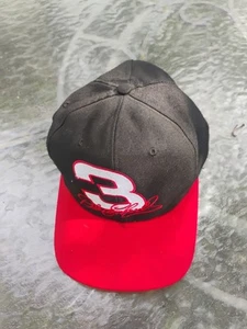 Vintage Nutmeg Dale Earnhardt Snapback Mütze 3 Made In USA Nascar Racing - Bild 1 von 5