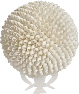 Decorative Shell Ball White Bubble 6" - Picture 1 of 2