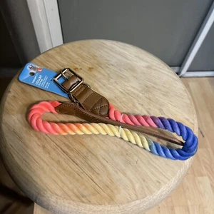 collar perro grande - Imagen 1 de 3