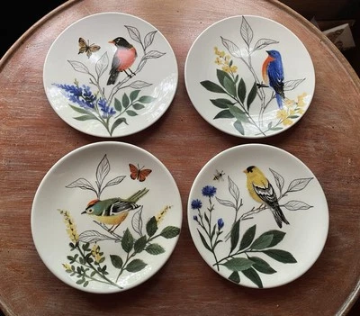 What She Shed 6" Platos Aperitivo/Platos de Postre, Pájaros Cantores, Juego de 4 Nuevos sin Etiquetas Foto 1 de 3