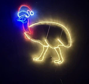 Christmas Cassowary Rope Light Motif - Picture 1 of 4