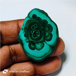 Malachit Scheibe Natur Grün Malachit Cabochon Lose Edelstein 71 Kt. ME-10491 - Bild 1 von 5