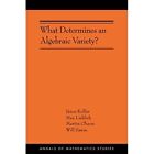 What Determines an Algebraic Variety?: (AMS-216) (Annal - Paperback NEW Kollar,