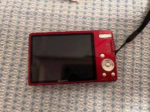 SONY Cyber-Shot DSC-W560 14.1MP Digital Camera 4x Optical Zoom English Language - Picture 1 of 5
