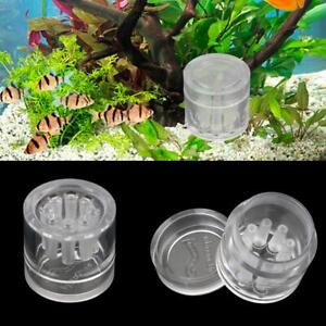 for Fish Tank Planaria Pest Catcher Pest Feeding Box Snail Trap Worm Bait