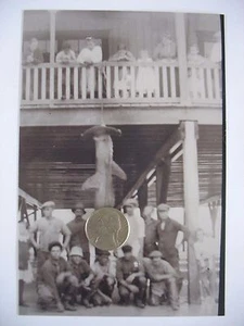 Negativo temprano y foto Hammerhead captura trofeo de tiburón Pier Nueva Orleans c1915 - Imagen 1 de 3