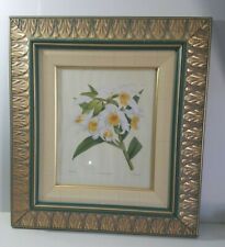 Vintage Bombay Company Print White Orchid Thunia Marshalliana  John Nugent Finch