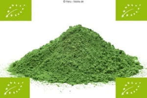 400g BIO Matcha Tee Pulver, Grüntee - Bild 1 von 1
