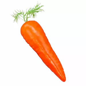 Realista Conejo de Pascua JUMBO FALSA ZANAHORIA Divertido Conejo Disfraz de Halloween Utilería-NUEVO - Imagen 1 de 4