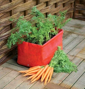 Haxnicks Heavy Duty Carrot Patio Planter 2 Pack L45cm x W30cm x H30cm - Picture 1 of 2