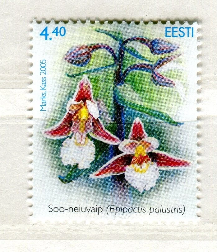 EST_324- 2005 Estonia flores orquídea FLORA MNH Foto 1 de 1