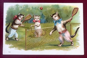 Cats enjoy playing Tennis - Nice Embossed Card VG - Picture 1 of 2