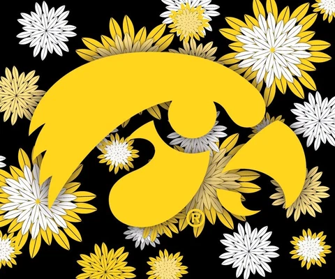 IOWA 5" X 6" FLORAL MAGNET-IOWA HAWKEYES CAR MAGNET-NEW FOR 2016 Cover
