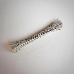 Brush to maintain boxwood hair brush - Picture 1 of 3