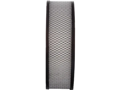 Filtro de aire Kodiak 1990-1996 protector premium 16898SSTR 1991 1992 Foto 1 de 2