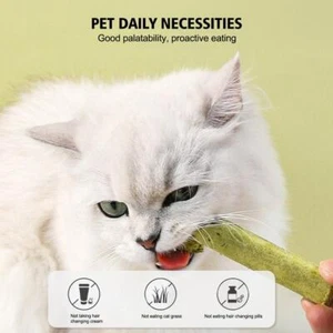 50/100X Cat Grass Stick, Freeze-dried Cat Snacks, Cat-Oral C5H8 Cleaning - Picture 1 of 14