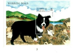 Turks and Caicos - 1996 - Dogs - Souvenir Sheet - MNH - Picture 1 of 1