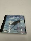 Wizardworks Air Warrior Flight Simulator Version 1.5 PC CD-ROM 1996