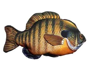 Pillow Toy For Kids Fish - Picture 1 of 2