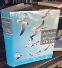 Audubon Illustrated Handbook Of American Birds, 1968 Birding Book