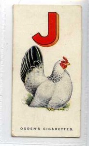 (Je4105) OGDENS,POULTRY ALPHABET,J JAPANESE,1924,#10