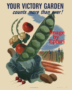 ¡El Jardín de la Victoria de la Segunda Guerra Mundial cuenta más que nunca! 8"x10" - Imagen 1 de 1
