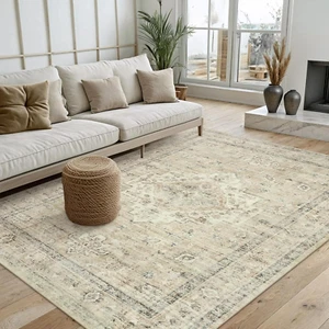 Washable Area Rug 5X7 Rugs for Living Room Bedroom, Non-Slip Boho Neutral Carpet - Picture 1 of 9