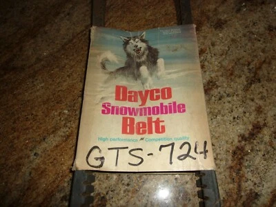 Cinturón para moto de nieve Dayco GTS 724 Arctic Cat Panther 1969 P35H 1970 P634 P760 P793  Foto 1 de 3