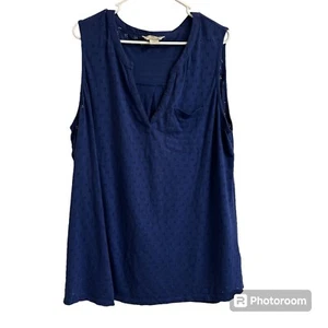 Bob Timberlake Womens Sz XXL Blue Sleeveless Eyelet Blouse Top Boho Casual Light - Picture 1 of 7