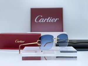 Occhiali da sole da uomo Cartier | Acquisti Online su eBay