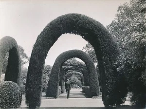BUENOS AIRES c. 1950 - Parque Tres de Febrero Palermo Argentine - Div 7249 - Imagen 1 de 2