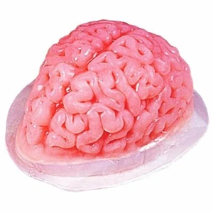 KINREX HALLOWEEN GEHIRN GELATINEFORM - Kunststoff Jello Formen Backen Dekorationen - Bild 1 von 4