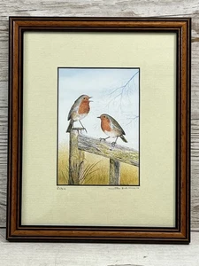 John Dolton 'Robin' impresión firmada enmarcada 1990 pintura de pared decoración del hogar - Imagen 1 de 14