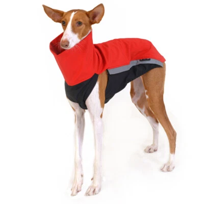 Sofshelljacke Windhund - Greyhound Galgo Whippet Windspiel Jumper Pullover - Rot - Bild 1 von 4