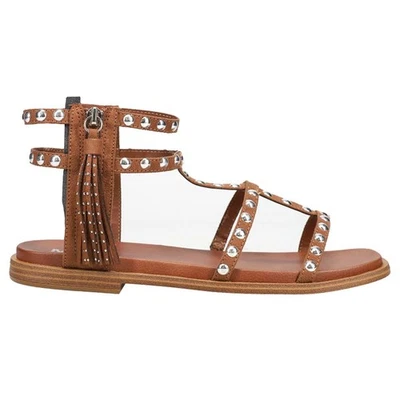 MIA Kathalina Studded Gladiator  Womens Brown Casual Sandals MH1780-COG - Image 1 of 4