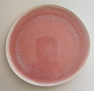 PLATO DE ENSALADA DE CUARZO ROSA Rosenthal - Junto - 8,66" NUEVO - Imagen 1 de 6