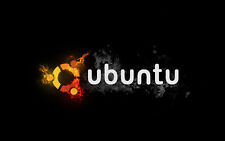 Fast & Reliable Dell 7490 Laptop Ubuntu Linux 32GB 1TB SSD +++++ 5 YEAR WARRANTY