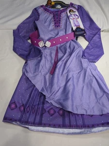 Disney Wish Asha Girls 4-6x Adventure Dress New Halloween Dress Up Party Fun - Picture 1 of 8