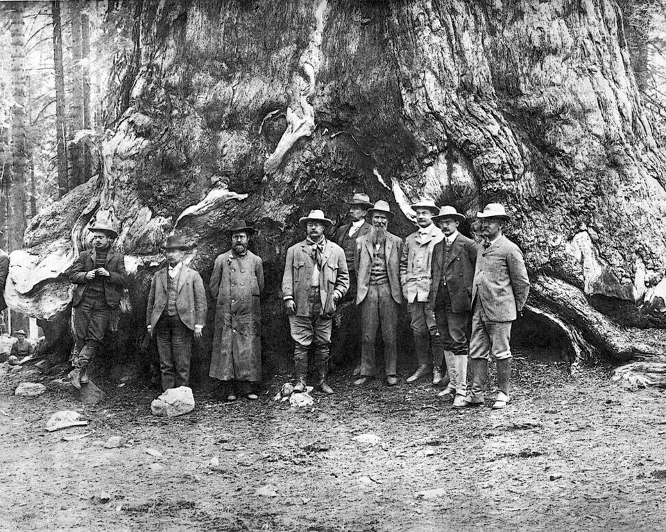 PRESIDENT THEODORE TEDDY ROOSEVELT AND JOHN MUIR 8X10 PHOTOGRAPH - Image 1 of 1