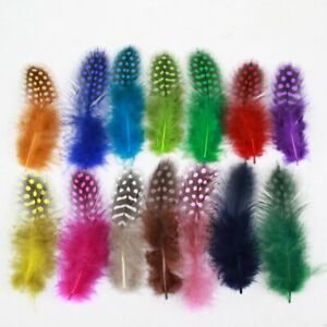 15 Colour Natural Guinea Fowl Feathers Crafts 4-8cm Chicken Pheasant Beautiful