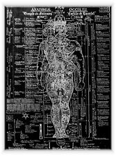 large wall art poster "ANATOMY OF THE OCCULT"   36"X 26"  circa. 1769