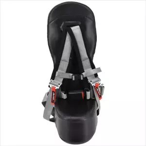 Black Carbon Fiber Bump Seat and Silver 4-Point Harness - Bild 1 von 2