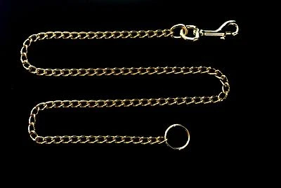 AJ PET ACCESSORIES 30"x 2.5mm Chain End Trigger Clip Hook Dog Lead Safety Chain Chrome/Brass Plated