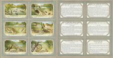 Liebig, Set 6 Cards, F1669, 1957, Pond Life, Insects