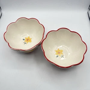 2 cuencos florales de cerámica de cera holandesa - Imagen 1 de 23