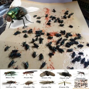 Fly Killer Insect Trap Sticky Bug 10pc Catcher Strip Paper Glue Tape Strong Home - Picture 1 of 3