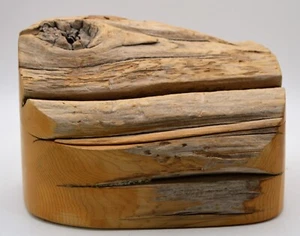 Handmade White Cedar Driftwood Box Made & Signed by Paul Kane from Canada 2009 - Picture 1 of 10